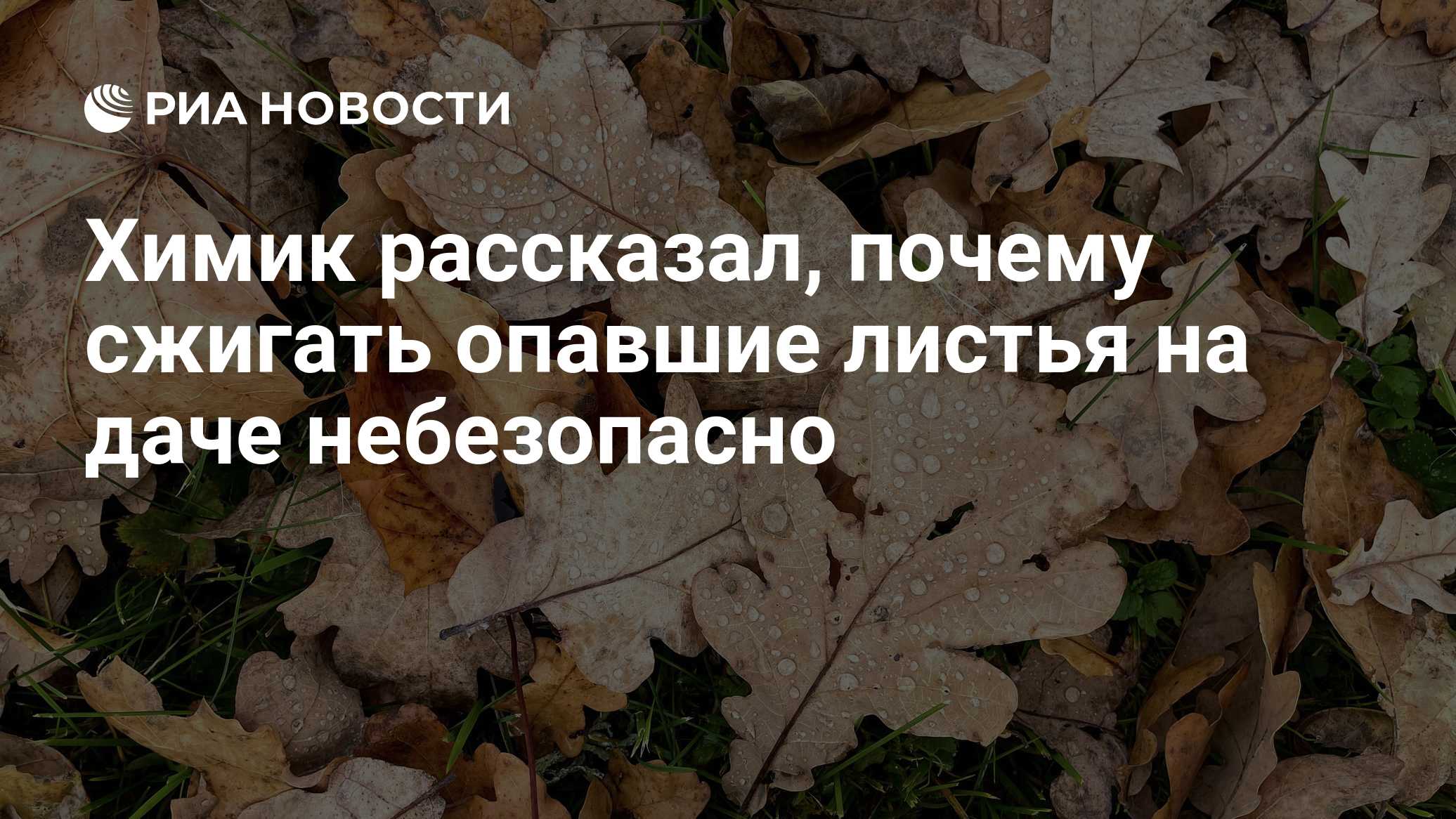 Химик рассказал, почему сжигать опавшие листья на даче небезопасно
