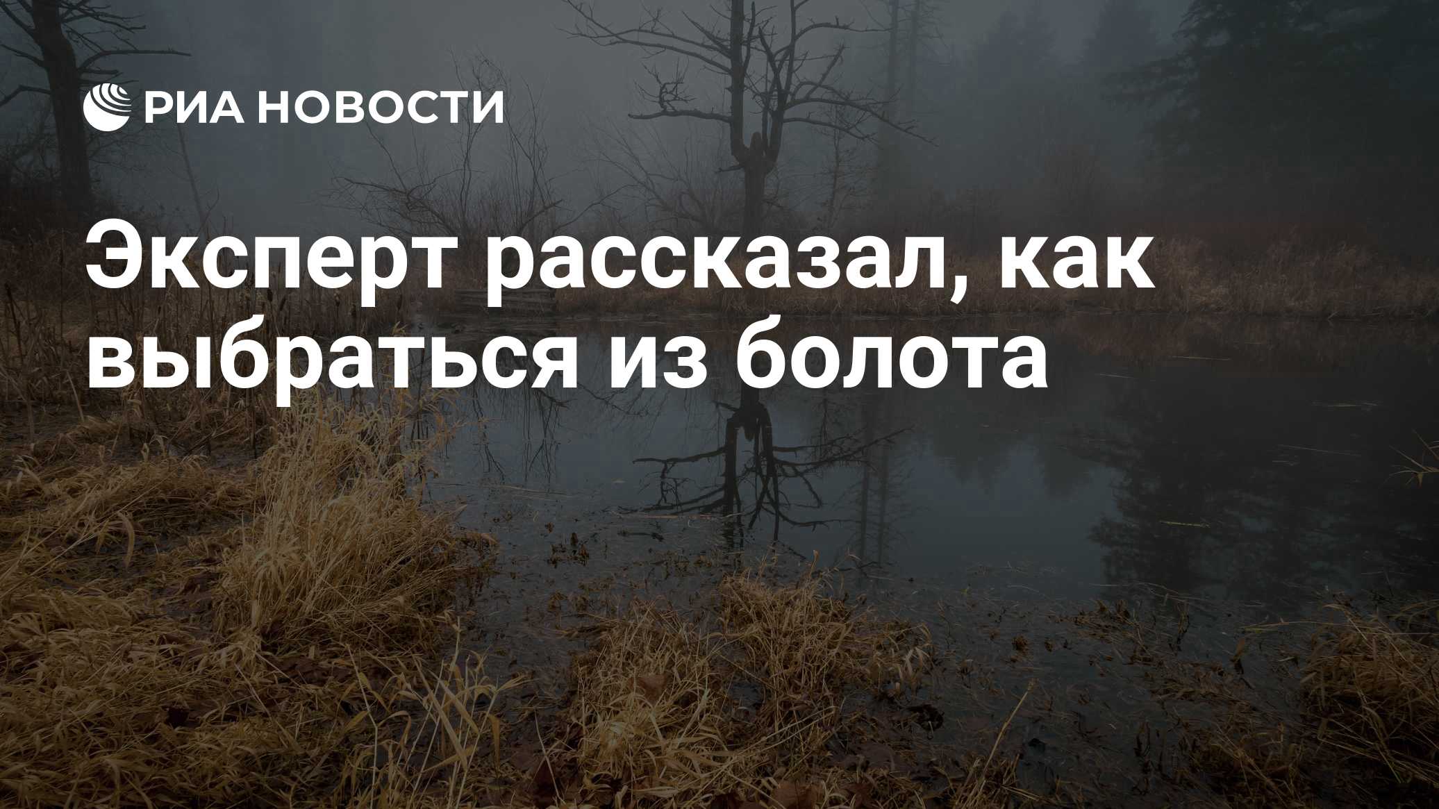Эксперт рассказал, как выбраться из болота