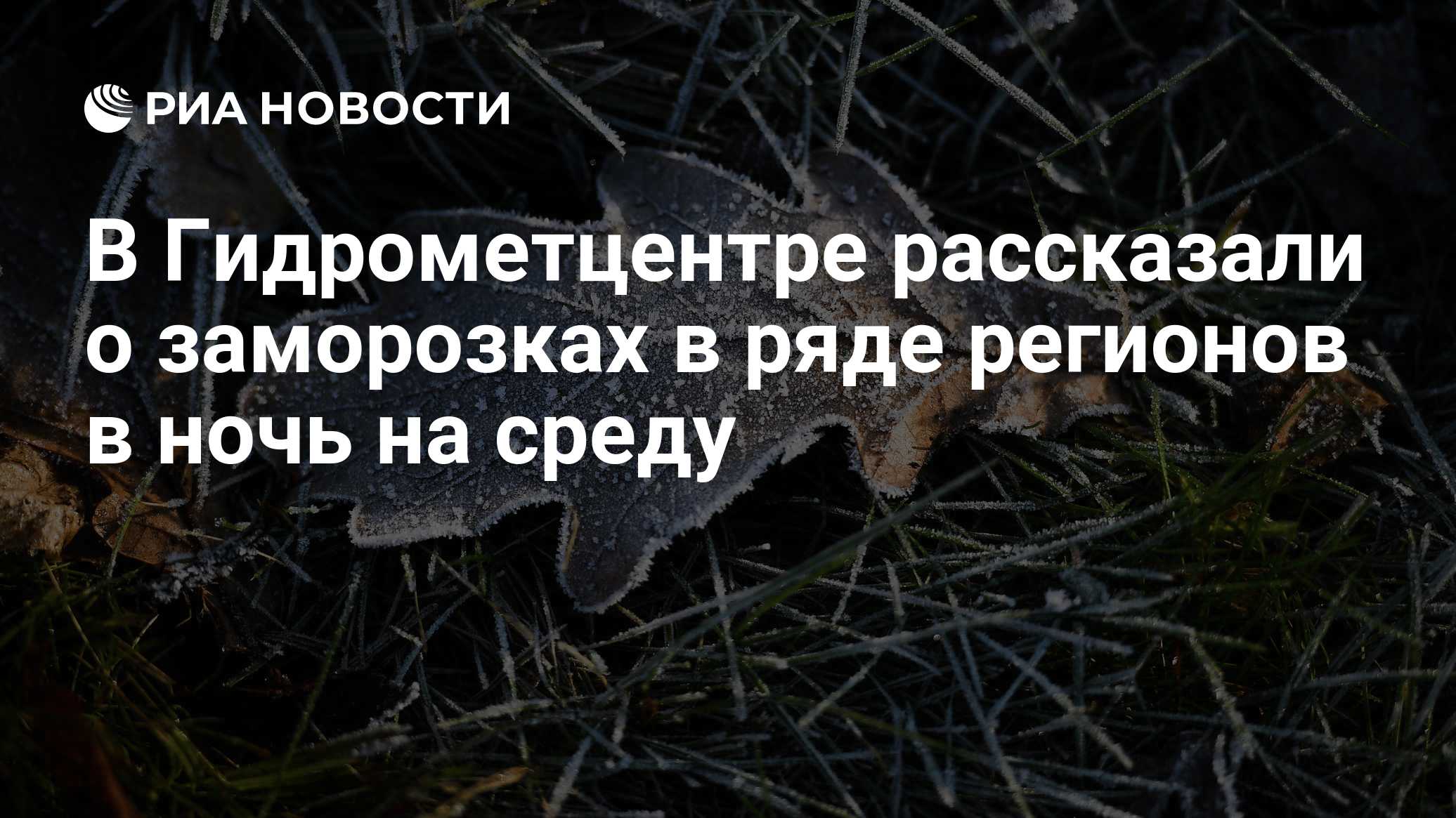 В Гидрометцентре рассказали о заморозках в ряде регионов в ночь на среду