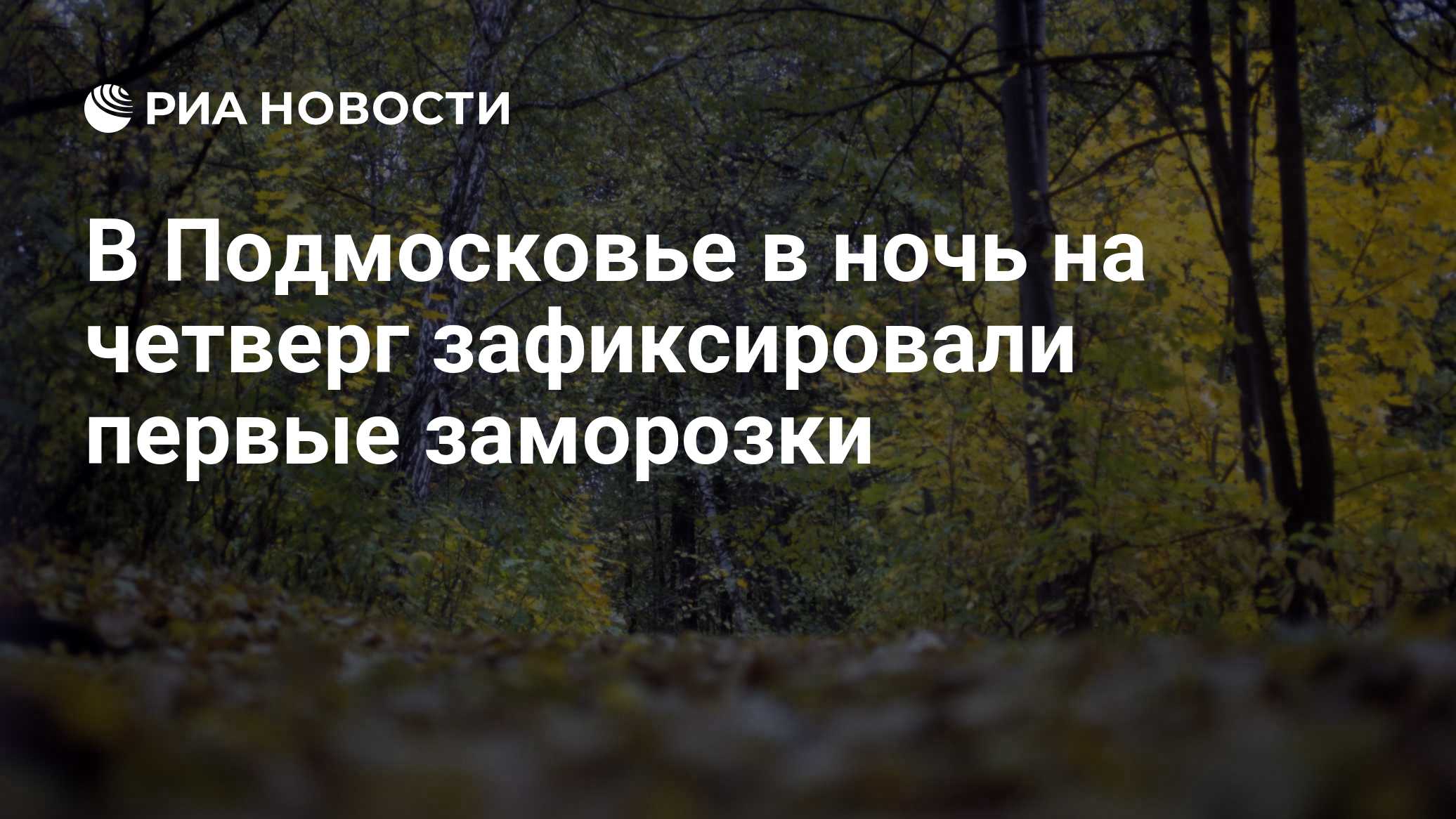 В Подмосковье в ночь на четверг зафиксировали первые заморозки