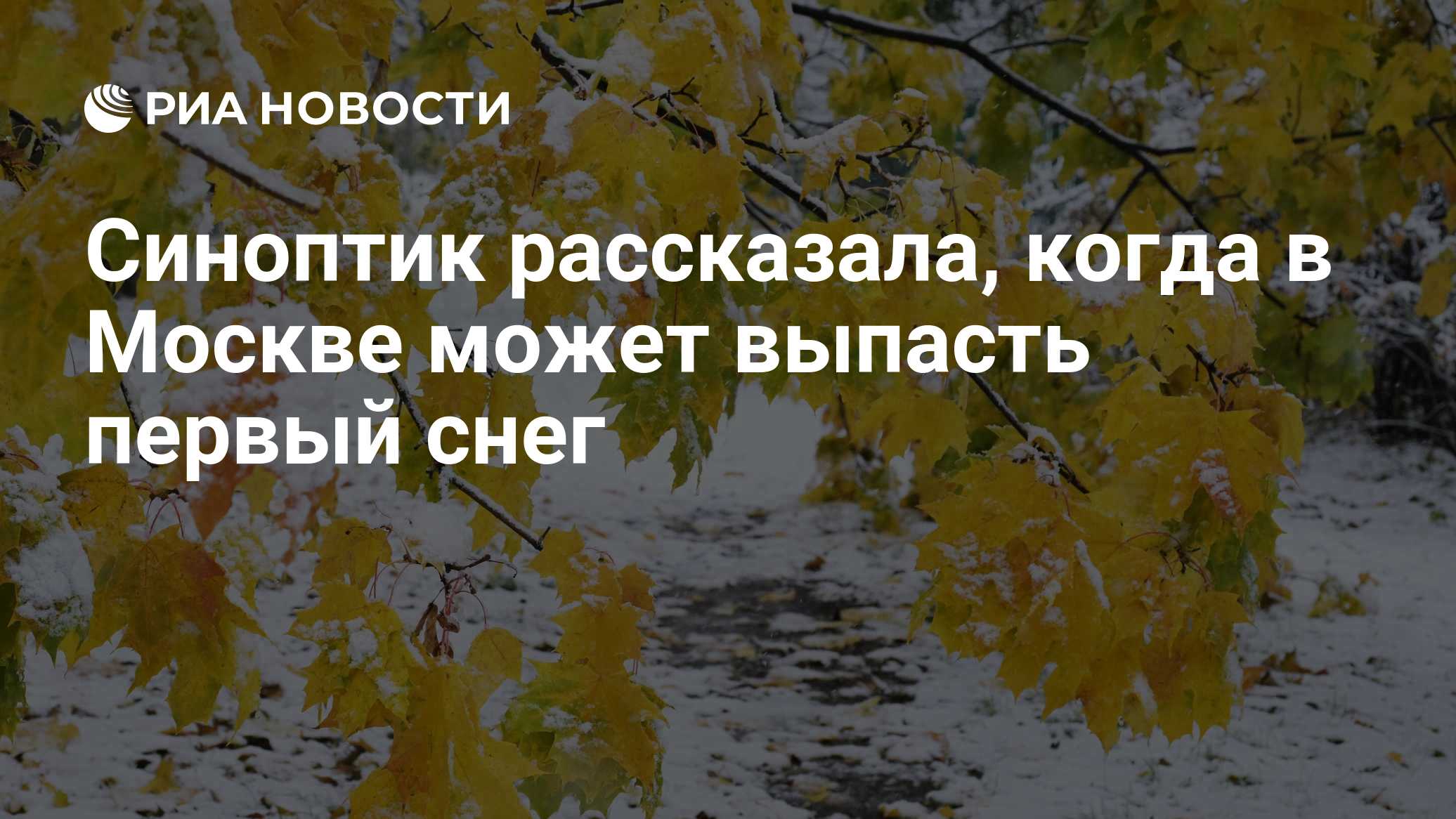 Синоптик рассказала, когда в Москве может выпасть первый снег